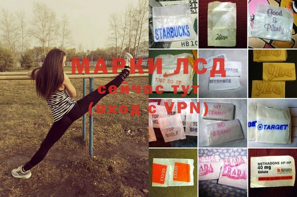 а пвп мука Новодвинск
