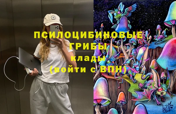 а пвп мука Новодвинск